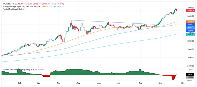 fakename.png fakename.png